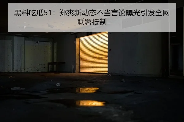 黑料吃瓜51：郑爽新动态不当言论曝光引发全网联署抵制